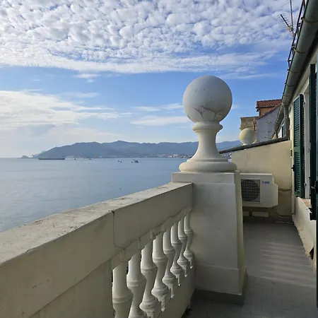 Marina Apartment